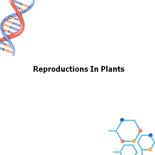 Reproductions In Plants